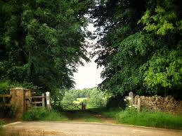 Cannock Chase Walk - Practical Philosophy