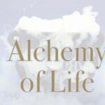 the alchemy of life workshop